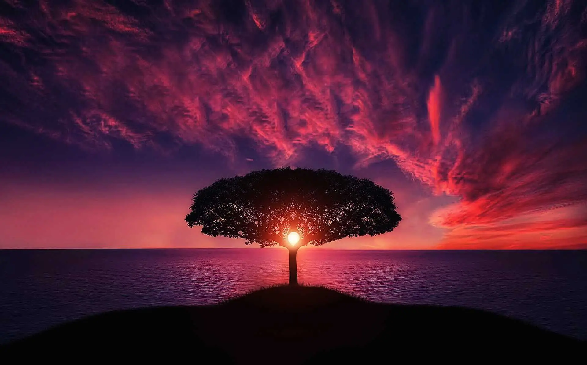 sunset
